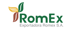 Romex